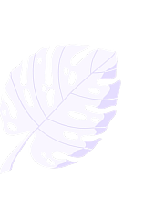 Leafs Top